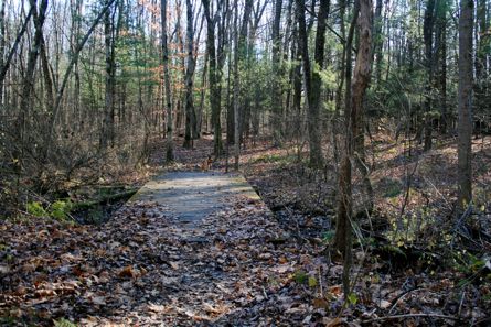 Hemlock Trail Area Nature Walks In Saratoga County - Part Of The ...