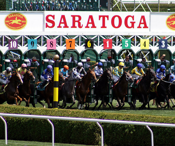 horses leaving the starting gate at saratoga