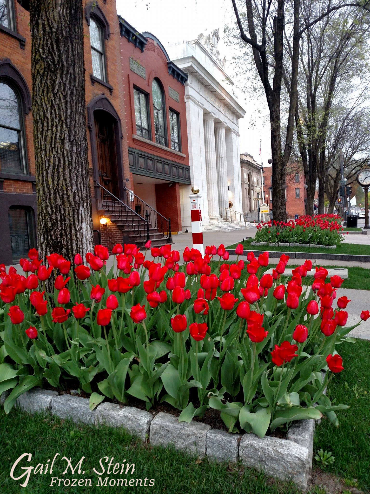 Beautiful Blooms Delivered: Enhance Your Saratoga Springs Moments With Joy