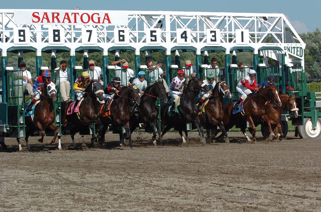 The Starting Gate Crew The Sigh Cowboys Of Horse Racing Saratoga Horse Racing Blog F Llies N Mares By The Alpha Mare Marion Altieri