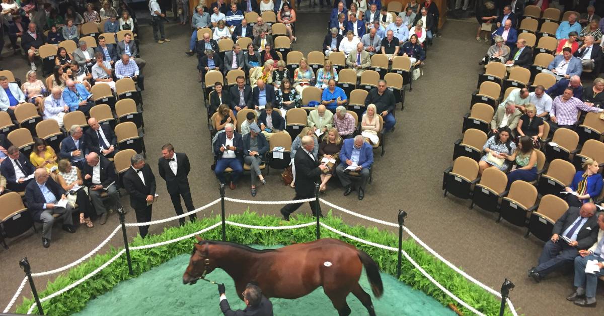 Attend the FasigTipton Horse Sales in Saratoga Springs, NY