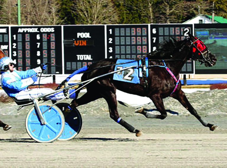 Saratoga Raceway Commences 76th Season Of Harness Racing At Crescent
