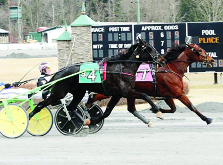 Saratoga Raceway’s 77th Season Brings More Action For Area Fans Of