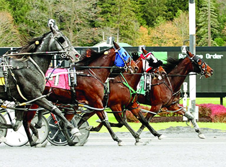 79th Harness Racing Season Is Underway At Saratoga Casino Hotel With